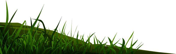bottom-grass